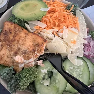 Kale, salmon, cucumber, onions, carrots and parmesan cheese.