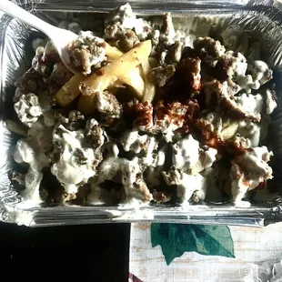 gyro meat over fries and white sauce.(delicious)