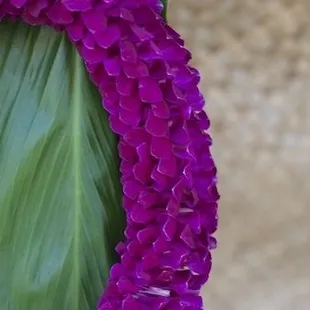 Spiral Lei