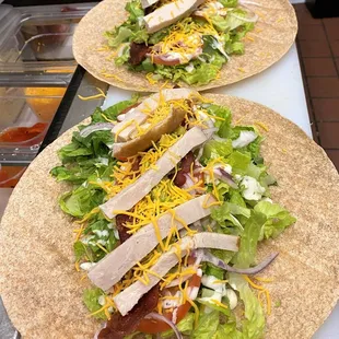 tortillas lined up on a counter