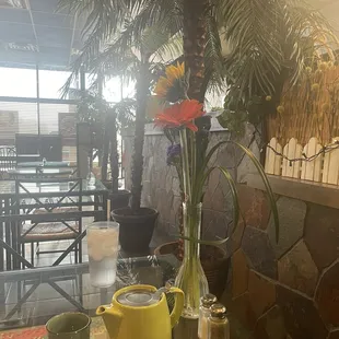 View from my table