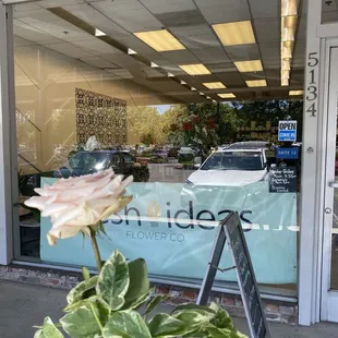 New plant and free rose they gave me and their new store front!