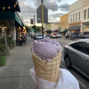 blueberry ice cream