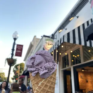 Blueberry Ice cream