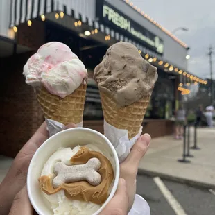 New York Strawberry Cheesecake Ice Cream and Carolina Crunch Ice Cream in waffle cones and a cute puppy treat for our dogs!