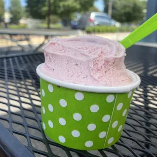 Fresh Strawberry Ice Cream, and Dutch Chocolate Ice Cream.