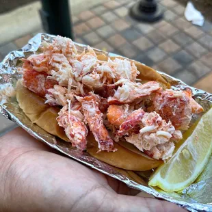 Maine Lobster roll