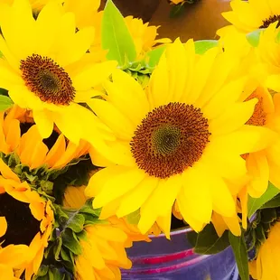 Sunflowers this weekend, &amp; yes I got some!!!