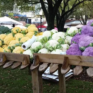 Cauliflower picked that morning $3 a head.