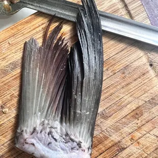 This is tail they have given to me. Who eats this. This guy selling fish if not eaten Bengali fish then at least learn from you tube.