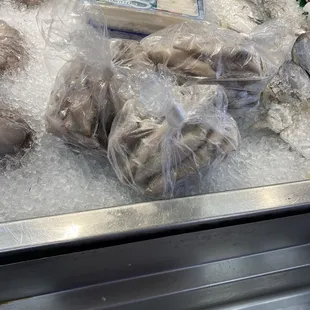 a display of fresh fish