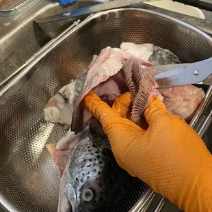Salmon Fish Head
