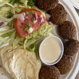 Falafel Platter