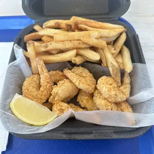 oysters, oysters and mussels, shellfish, food, mussels