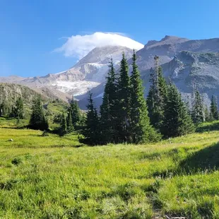 a grassy meadow with a mountain in the background