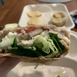 a hand holding a pita sandwich