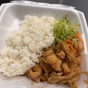 Chicken Teriyaki Lunch Special