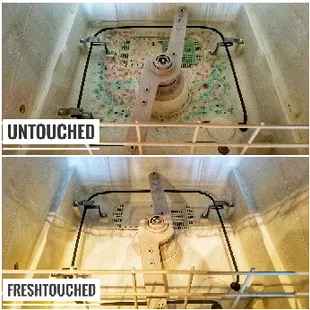 Sitting Dishwasher Got Mold? Well We Got You!