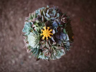 Tyler's Custom Design