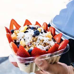 Biónico fruit salad