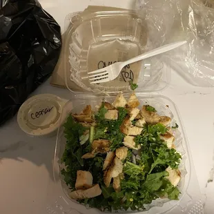 Small kale salad with chicken