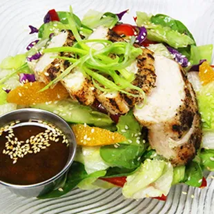 Asian Chicken Salad.Premium, All Natural, Chicken Breast, Mandarin Oranges, English Cucumbers, Diced Scallions and dressing.
