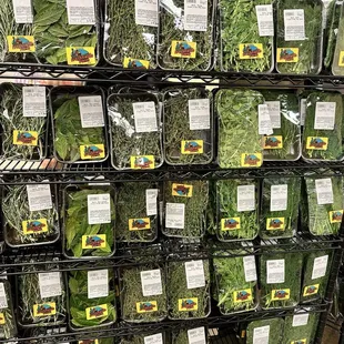 Look at all these fresh herbs only $1.69