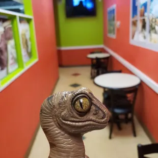 Bob the Raptor says "These mammals have a place to sit and eat your prey!"