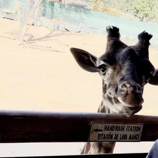 Selfie of this beauty