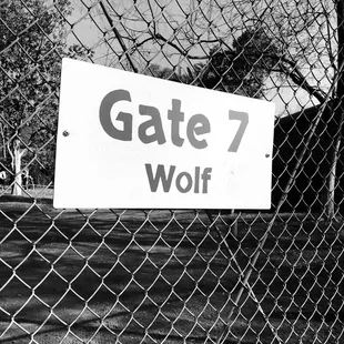 wolves. @heyykatherinej