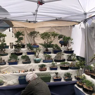 Beautiful plants on 05/01/22