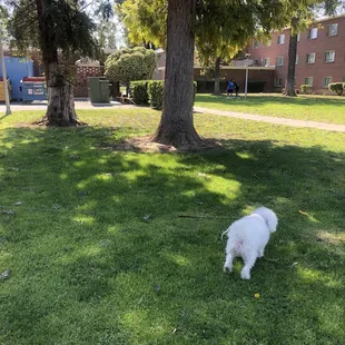 Vintage days Kenny and the dude ! 4/21/24