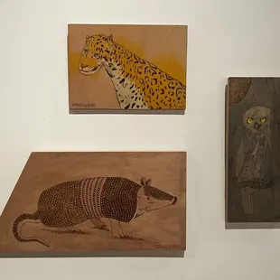 an armadion, an owl, and a cheetah
