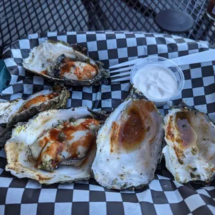 a plate of oysters