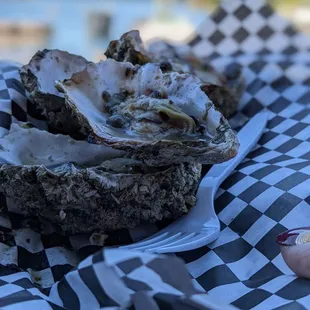 Grilled Oysters