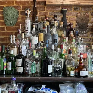 Look at this agave selection!