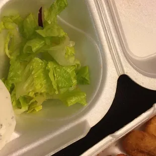 This was the tiny little 'side salad' that came with my meal