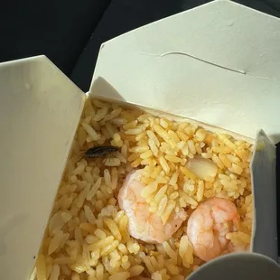 Dead roach in fried rice restaurant food