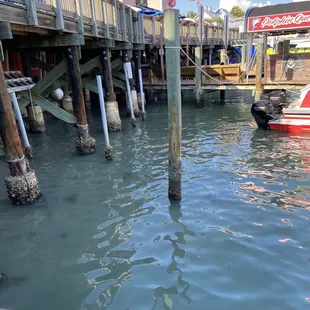 Seating overlooking the water