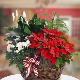 Holiday arrangements with poinsettias and an assortment of green plants. Starts at $50.00 and up