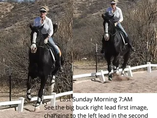 Benson Feed & Supply Store