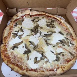 Second time medium pizza with ricotta cheese and mushroom!