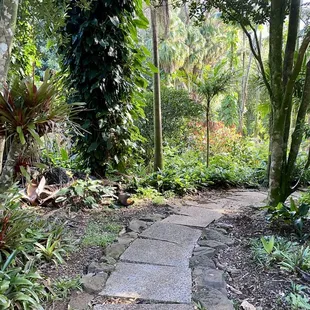 On one of the hiking paths