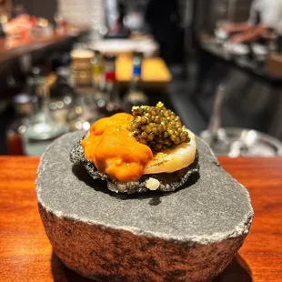 Sea Urchin