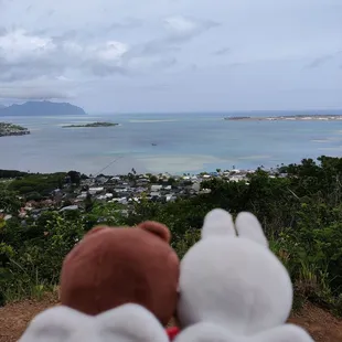 The Ridge Lookout - go left when the trail splits... For a beautiful View of Kaneohe Bay!