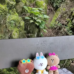 Cony&apos;s birthday was spent with her best friends - Brown and Choco!
