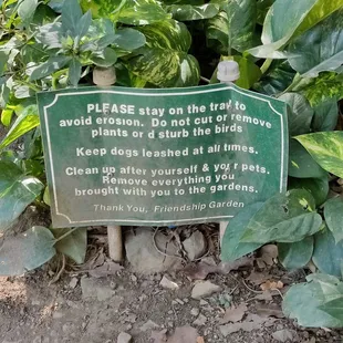 Please follow the rules
