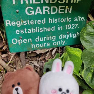 4-17-23: Cony&apos;s birthday