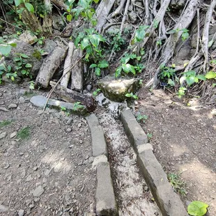 I crossed this drainage ditch
