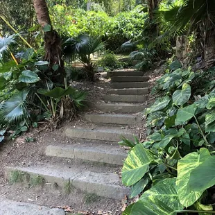 Beginning of the trail